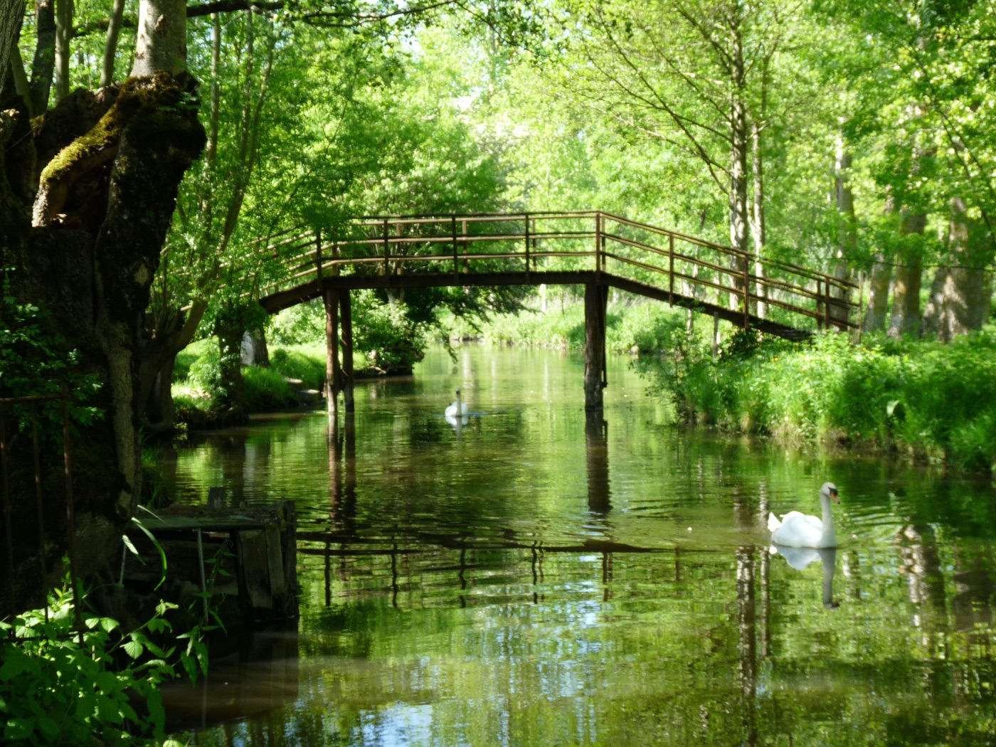 Le Marais Poitevin TripnBike